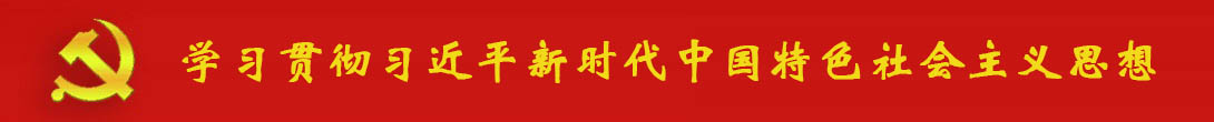 学习贯彻习近平新时代中国特色社会主义思想