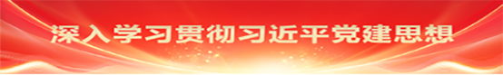 深入学习贯彻习近平党建思想